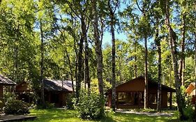 Cabanas En Pucon